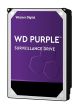 WESTERN DIGITAL 10TB SURVEILLANCE PRO INTERNAL SATA HARD DRIVE WD102PURP