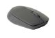 RAPOO M100 SILENT MULTI-MODE WIRELESS MOUSE (GREY)