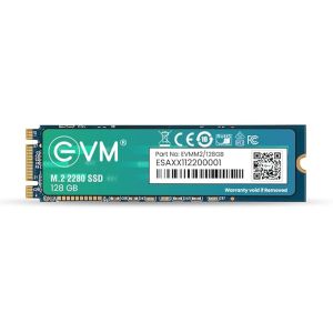 EVM 128GB INTERNAL SATA M.2 SSD EVMM2/128GB