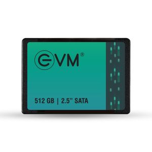 EVM 512GB INTERNAL SATA SSD EVM25/512GB