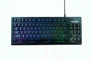 COSMIC BYTE CB-GK-22 (BLACK) GAMING KEYBOARD RGB BLACK