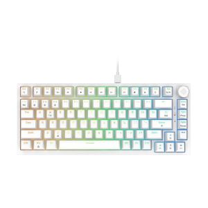 Cosmic Byte Phantom TKL Gasket Mechanical Wired Swappable Keyboard with PreLubed Switches (White) CB-GK-42
