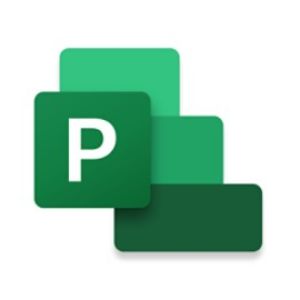 MICROSOFT PROJECT PROFESSIONAL 2021 WIN ALL LANGUAGES (LICENSE VIA EMAIL)