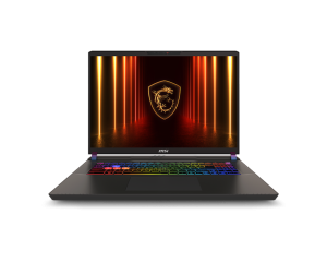 MSI Vector 17, Intel Series 2 Core Ultra 9 275HX, 43cm QHD+ 240Hz Gaming Laptop (32GB/2TB NVMe SSD/Windows 11 Home/NVIDIA GeForce RTX 5070 Ti, GDDR7 12GB/Cosmos Gray/3Kg) A2XWHG-206IN
